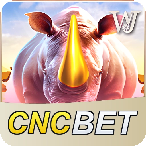 CNCBET termos — contrato de uso e regulamento da plataforma